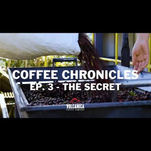 coffee chronicles epoisode 3