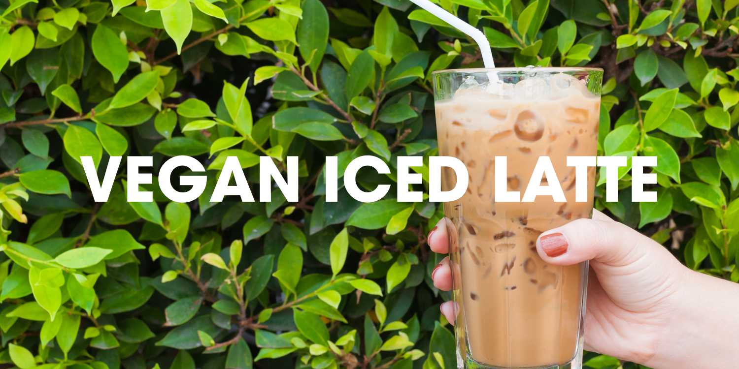 Vegan Iced Latte Volcanica Coffee