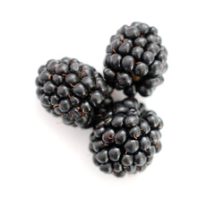 Blackberry Icon