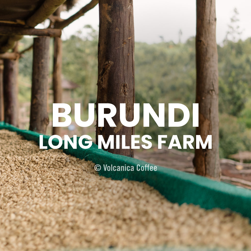 Burundi Coffee - Long Miles Farm