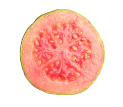 Guava Icon