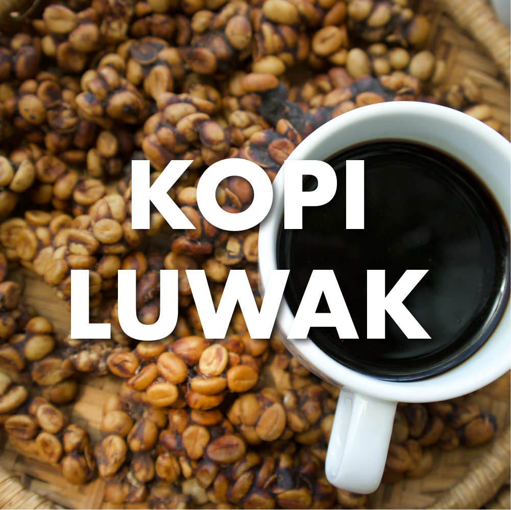 origin of luwak coffee