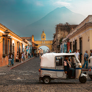 Guatemala Coffee