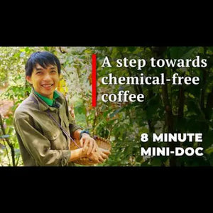Qu Coffee Farmer in Vietnam