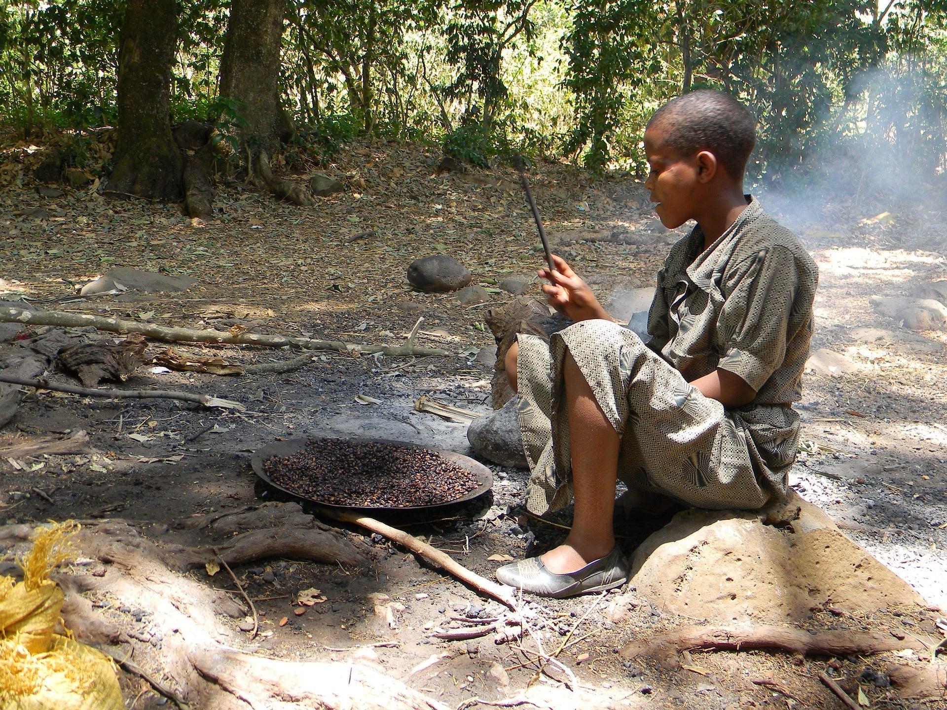 Ethiopia Coffee Ceremony