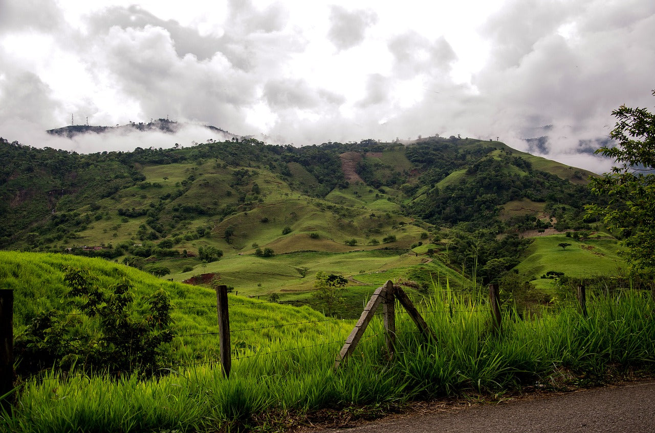 Coffee in Colombia