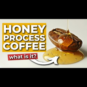 what is honey process coffee