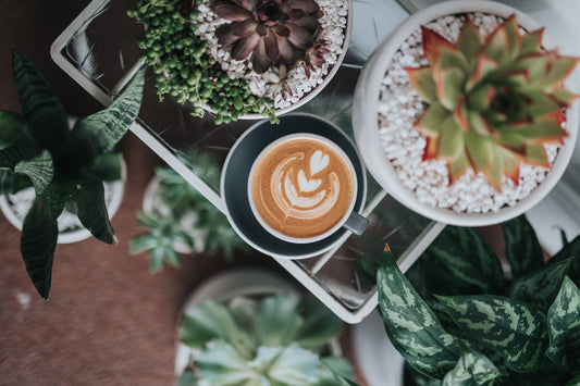 3 Ways to Make Your Coffee Habit More Sustainable
