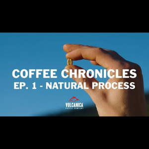 natural process coffee
