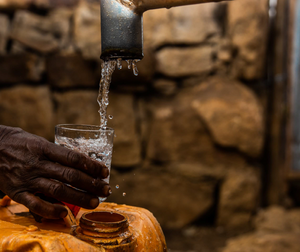 Our Ripple Grows: An Update from the Field in India