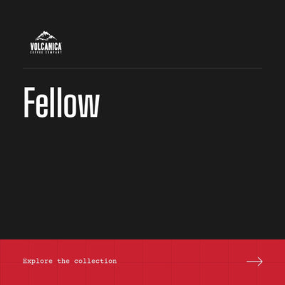 Fellow