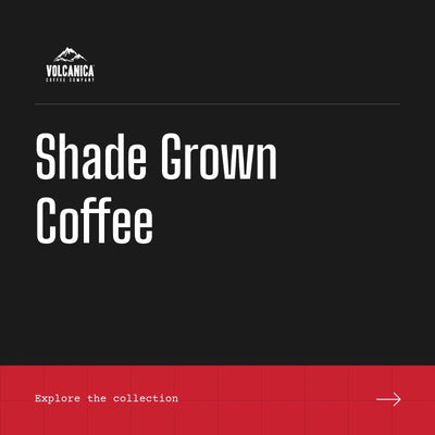 Shade Grown Coffee