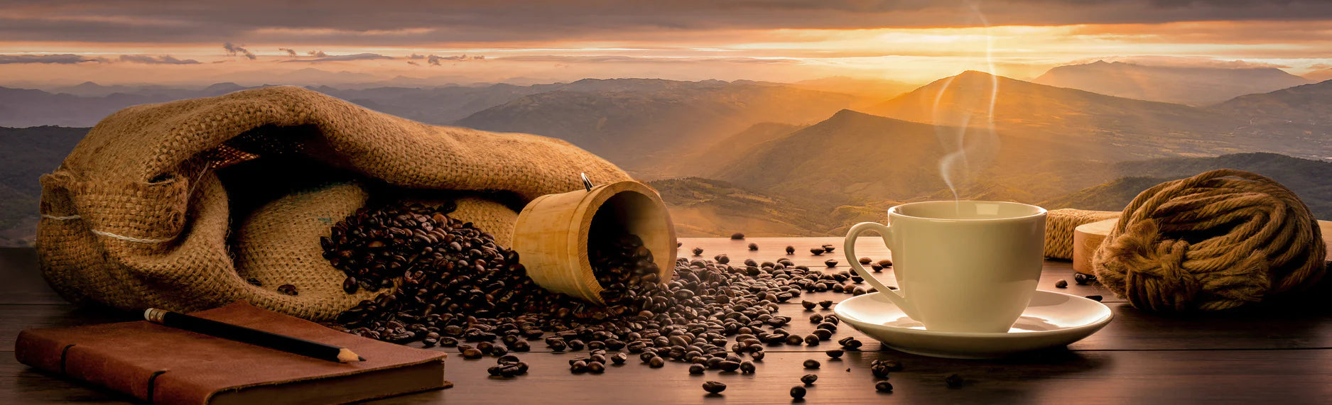 How to make coffee - Brewing Guide