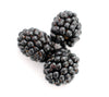 Blackberry Icon