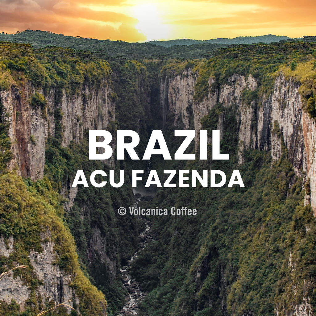Brazil Acu Fazenda Coffee