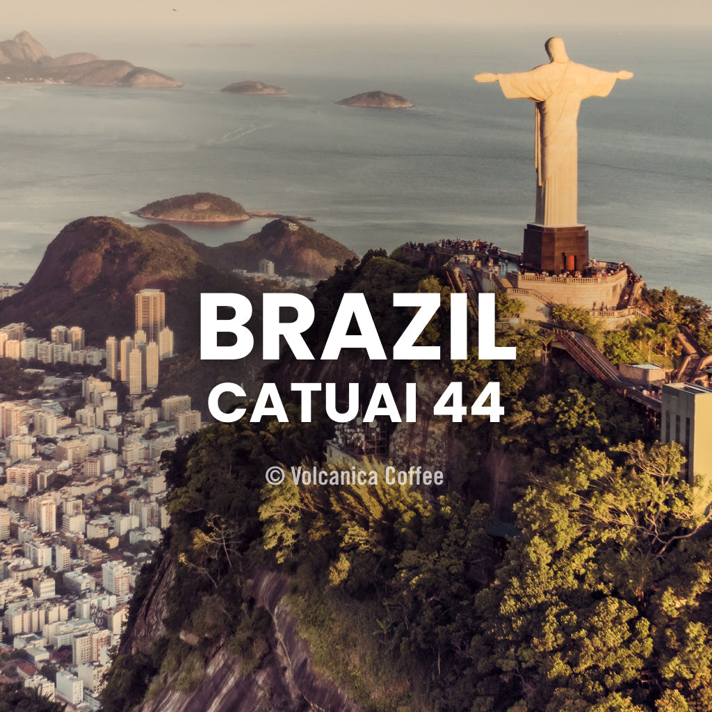 Brazil Catuai 44 Coffee 
