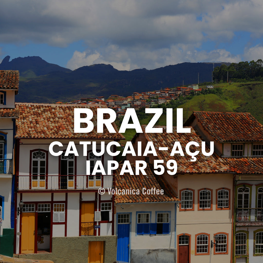 Brazil Catucaia-Acu Iapar Coffee