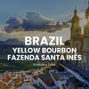 Brazil Yellow Bourbon Coffee, Cup of Excellence