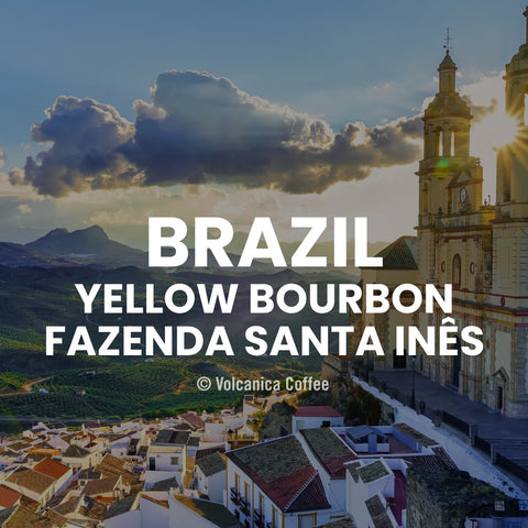 Brazil Yellow Bourbon Coffee, Cup of Excellence