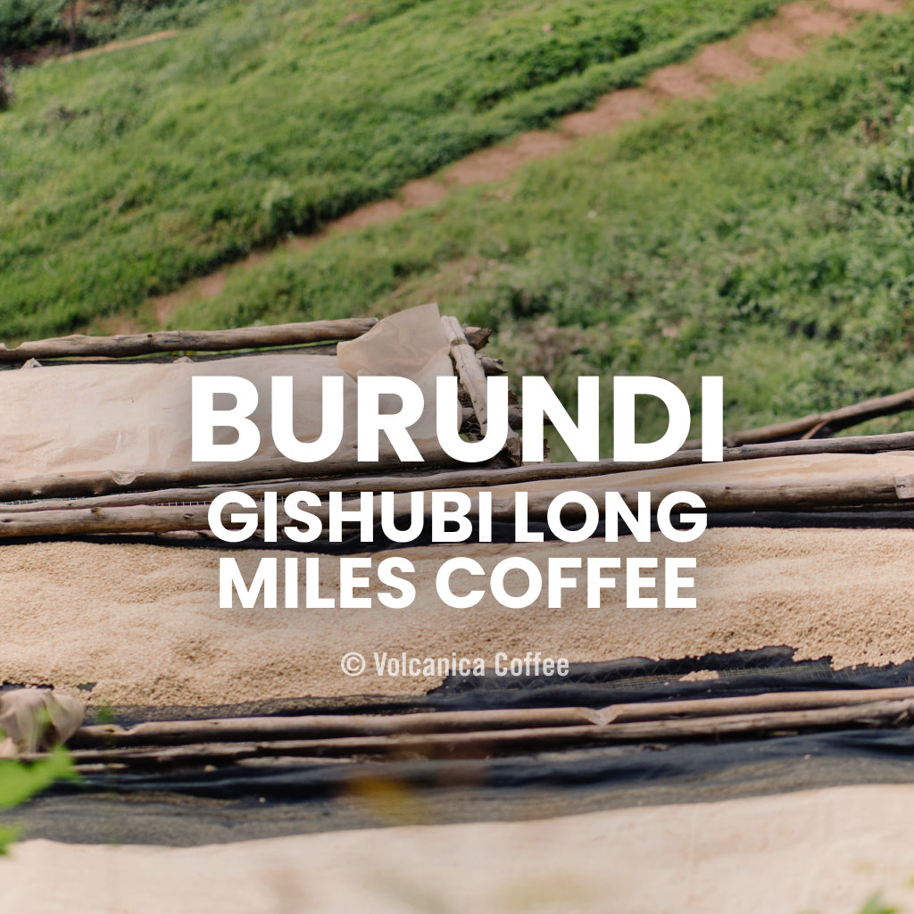 Burundi Gishubi Long Miles Coffee