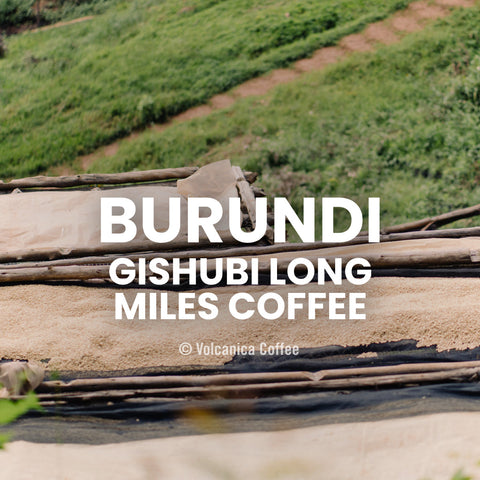 Burundi Gishubi Long Miles Coffee