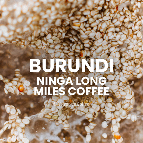 Burundi Ninga Long Miles Coffee