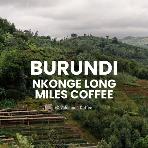 Burundi Nkonge Long Miles Coffee