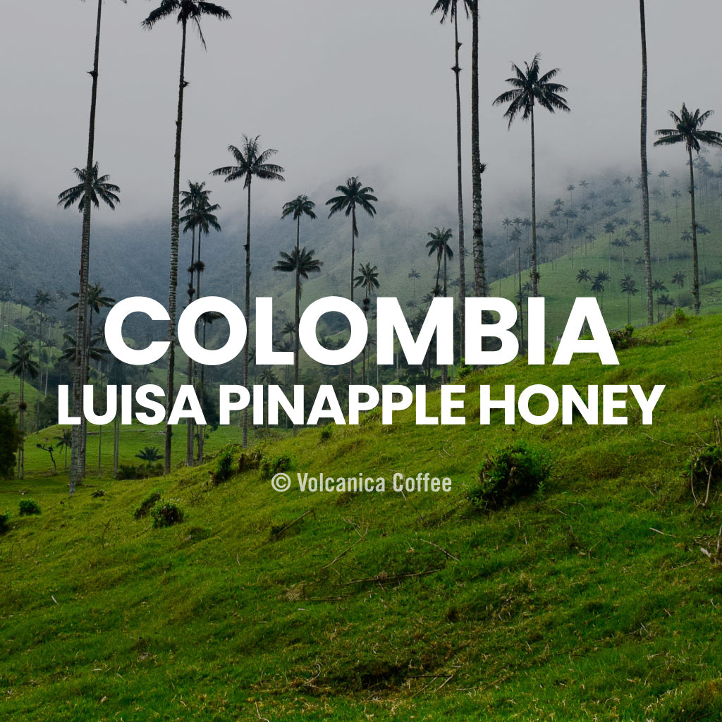 Colombia Pineapple Honey Coffee, Finca La Luisa