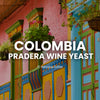 Colombia Wine Yeast Coffee - Volcanica Coffee