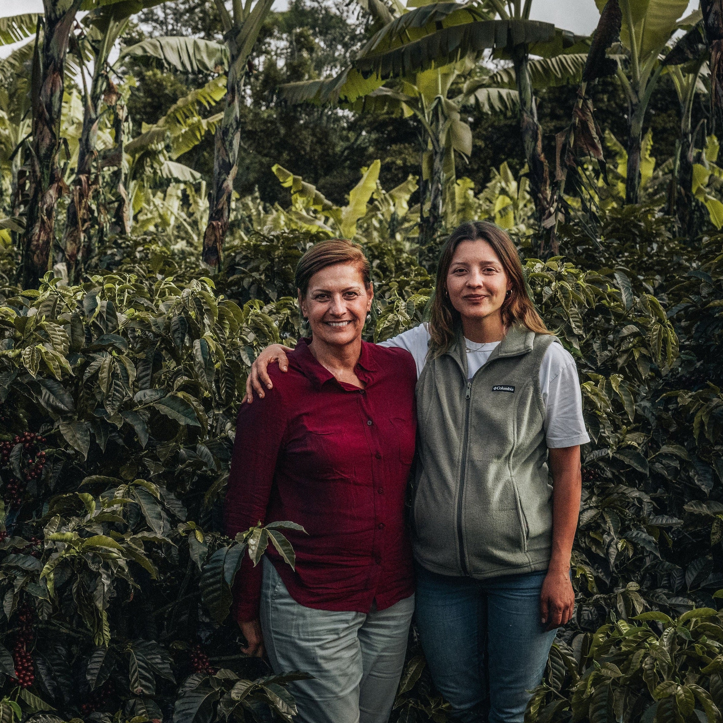 Costa Rica Coffee, Finca Las Mercedes, Honey Process – Volcanica