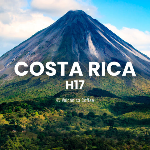 Costa Rica H17 Coffee