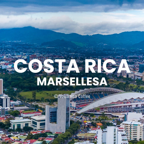 Costa Rica Marsellesa Coffee
