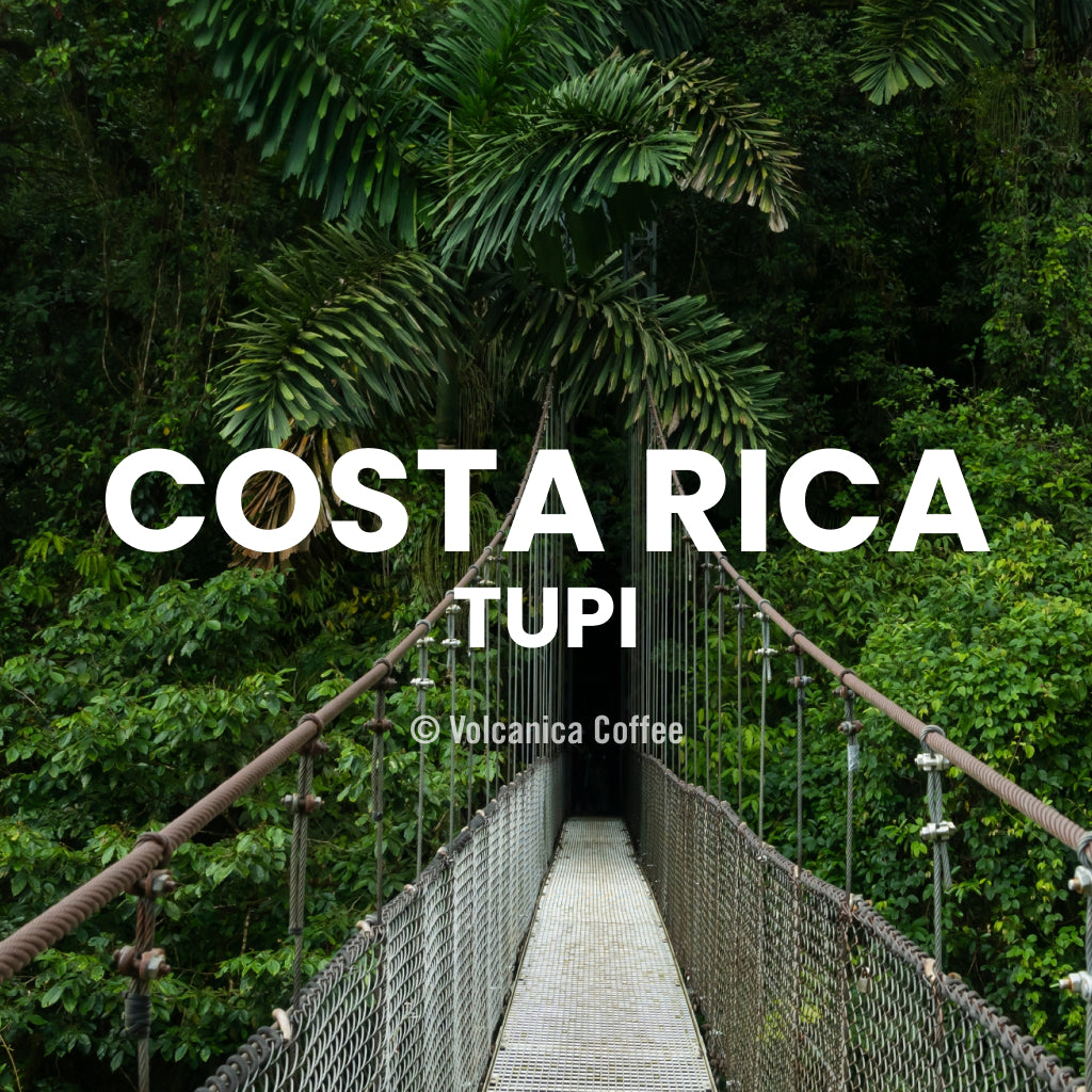 Costa Rica Tupi Coffee