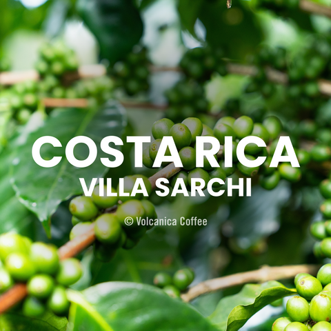 Costa Rica Villa Sarchi Coffee