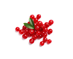 Cranberry Icon