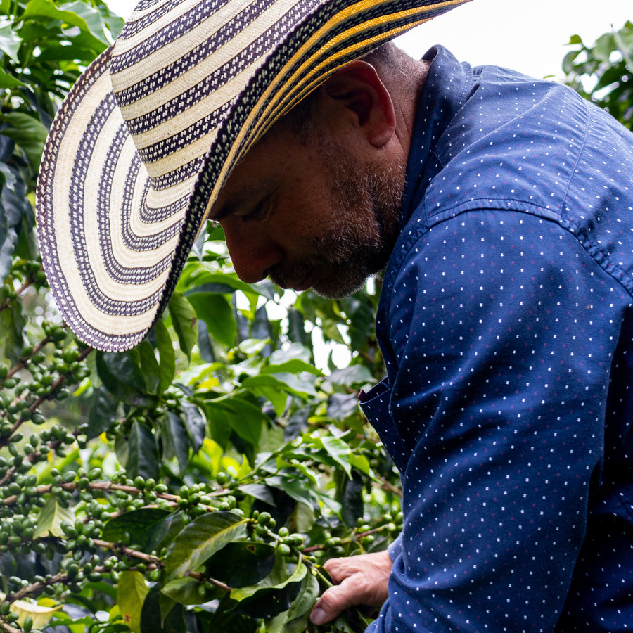 Colombia Coffee Farmers Diofanor Ruiz