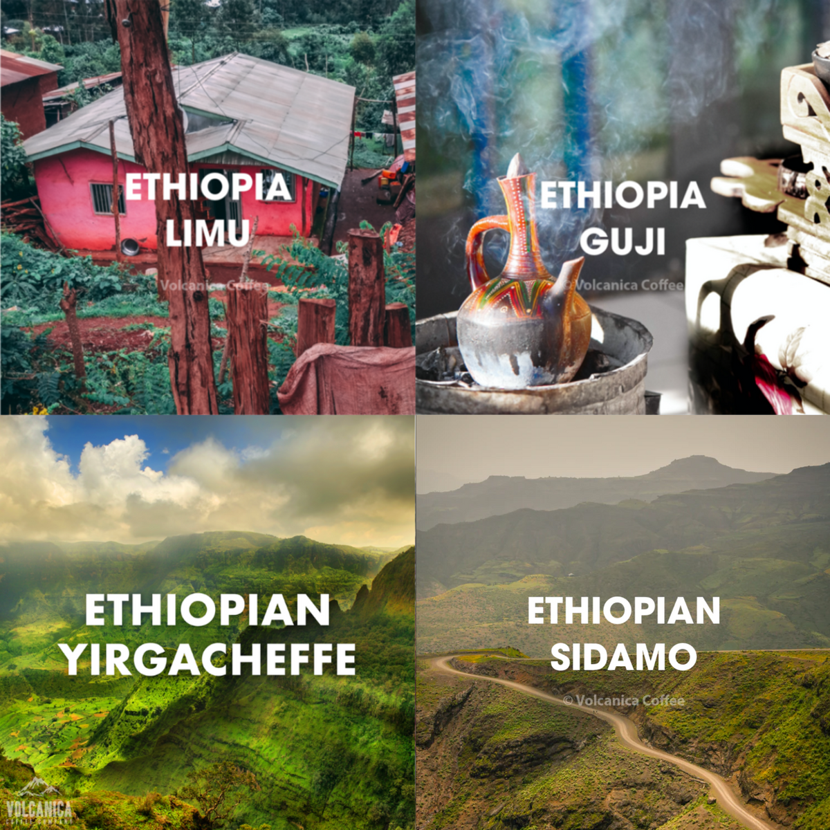 Ethiopian Coffee Gift Box - Volcanica Coffee