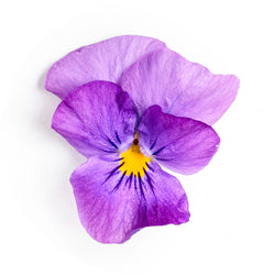 Floral Icon