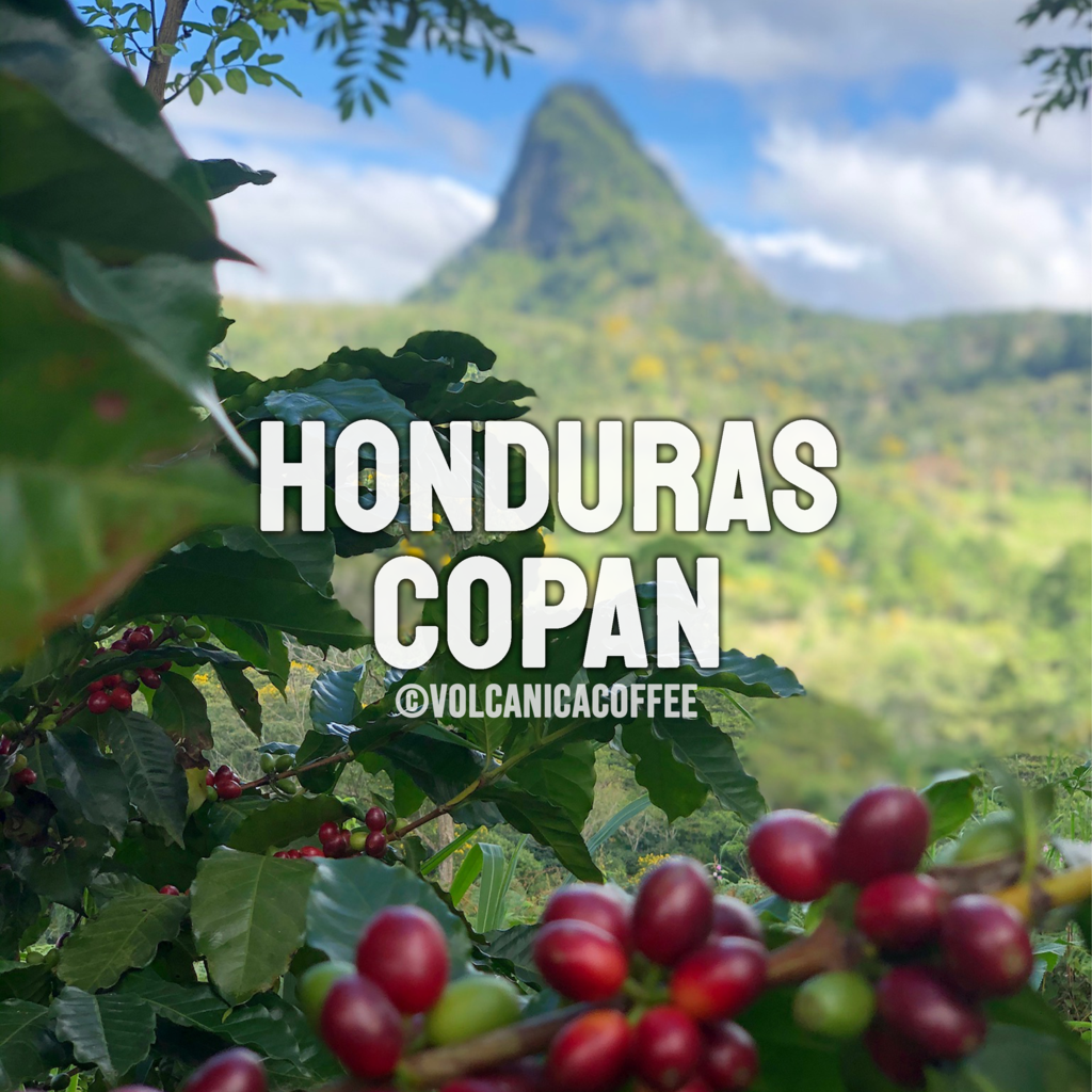 Honduras coffee