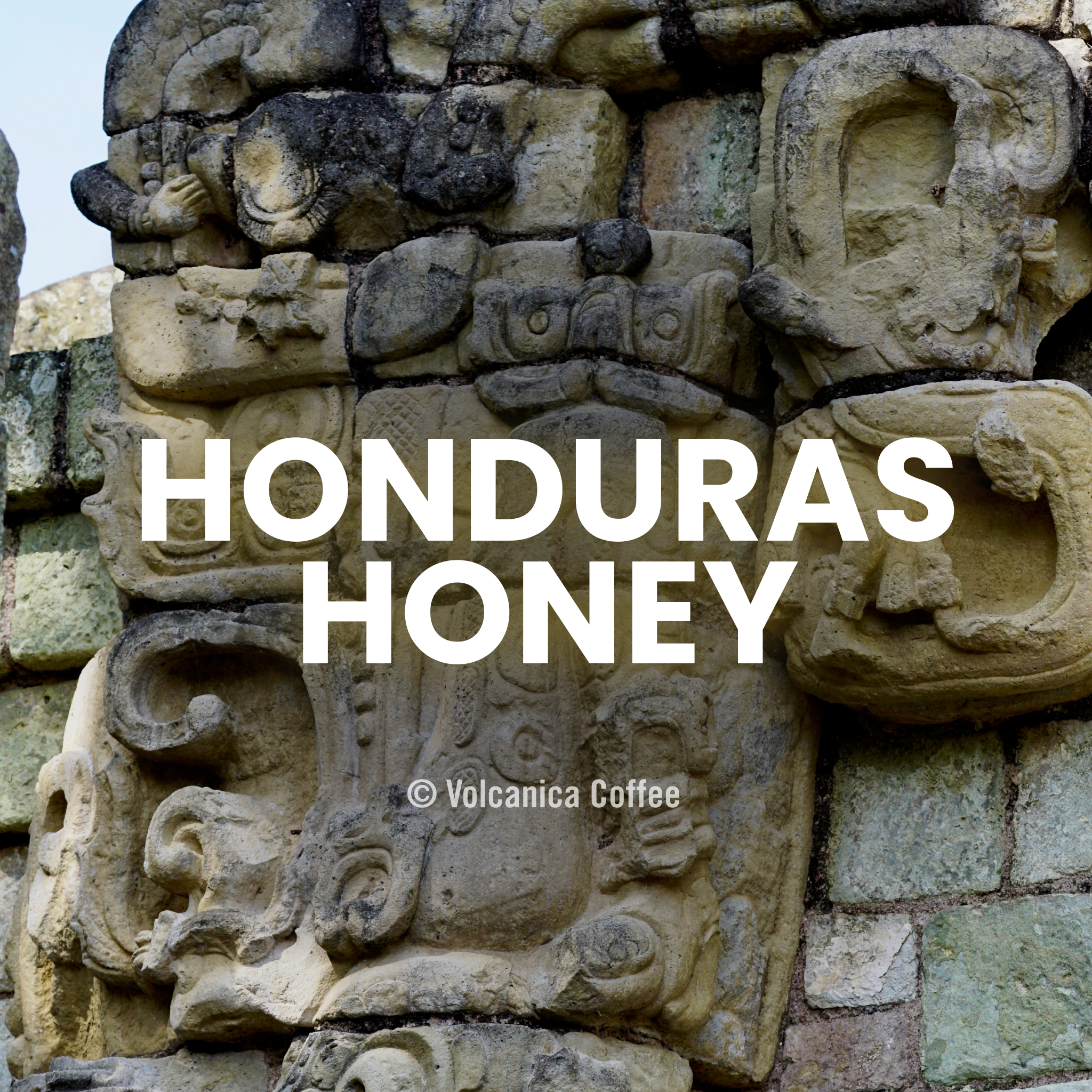 Honduras Coffee, Copan, Honey Process