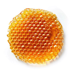 Honey Icon