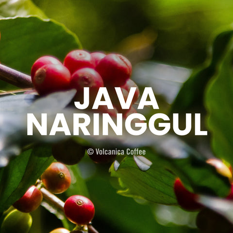 Java Naringgul Coffee