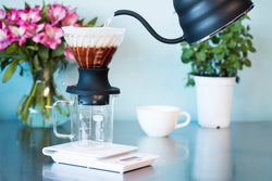 Hario V60 SWITCH Glass Dripper and Server Set