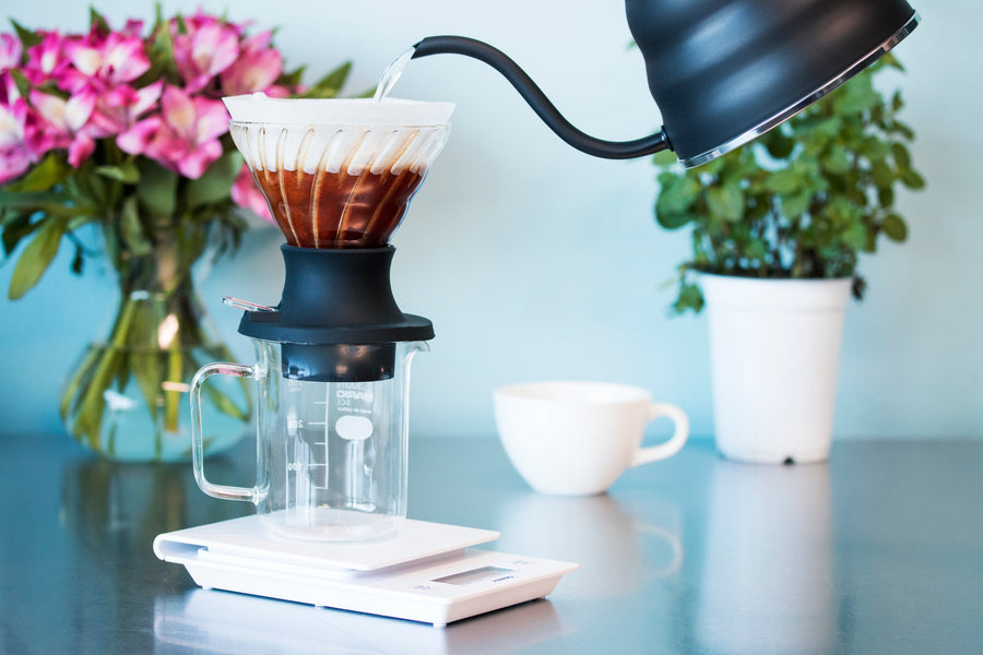 Hario V60 SWITCH Glass Dripper and Server Set