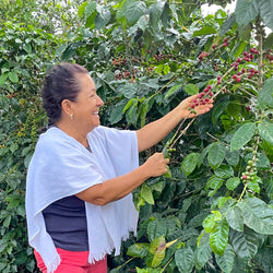 Colombian Coffee Farmer Martha Arcila