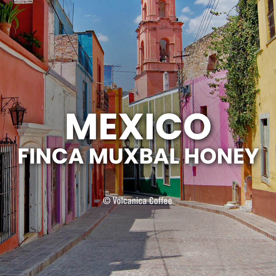 Mexico Honey Coffee