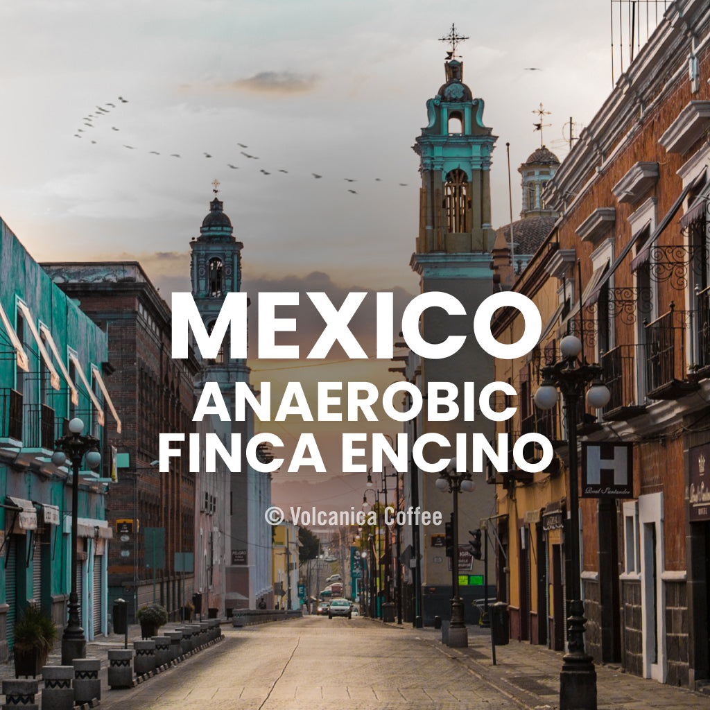 Mexico Anaerobic Finca Encino Coffee
