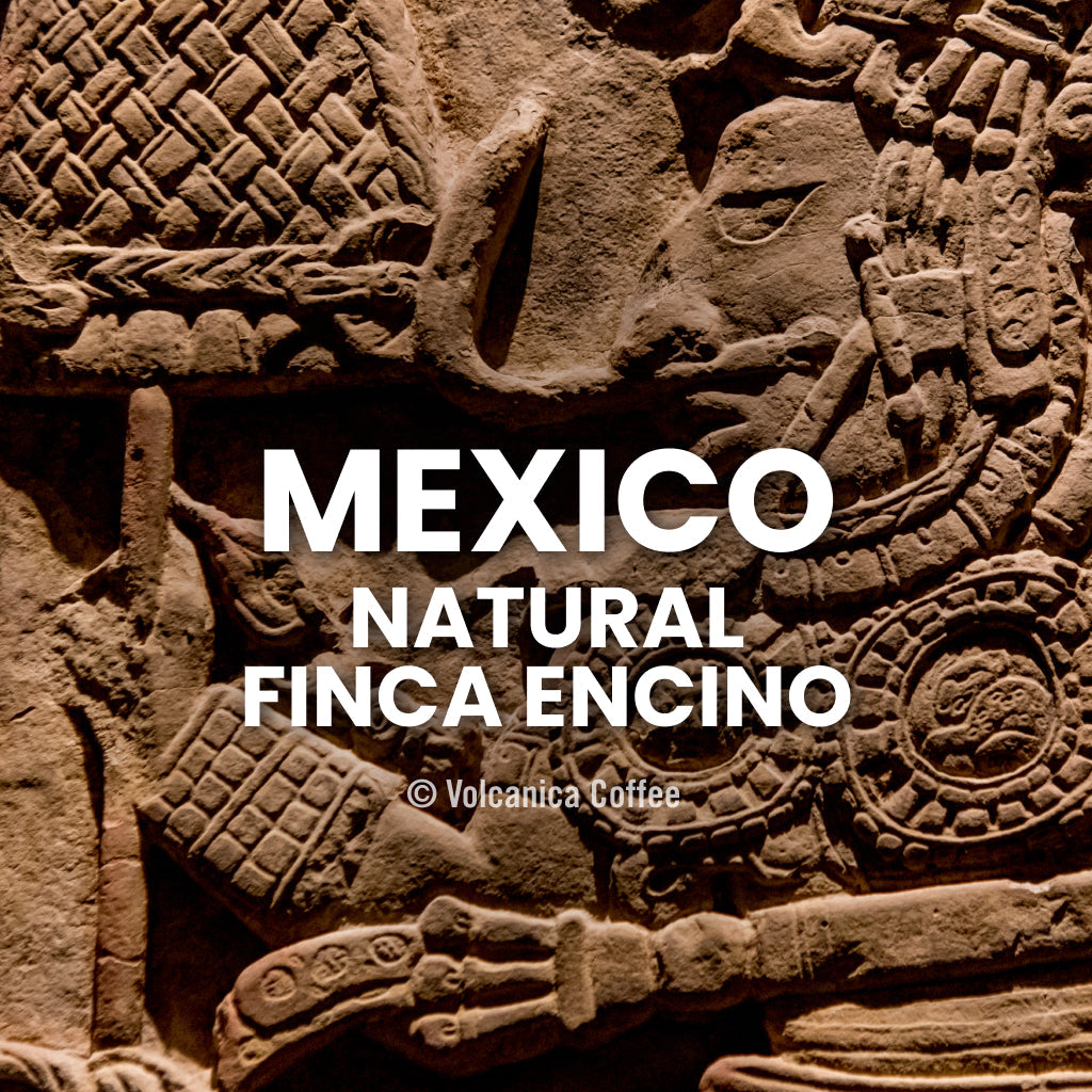 Mexico Natural Finca Encino Coffee