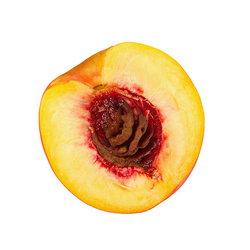 Nectarine Icon