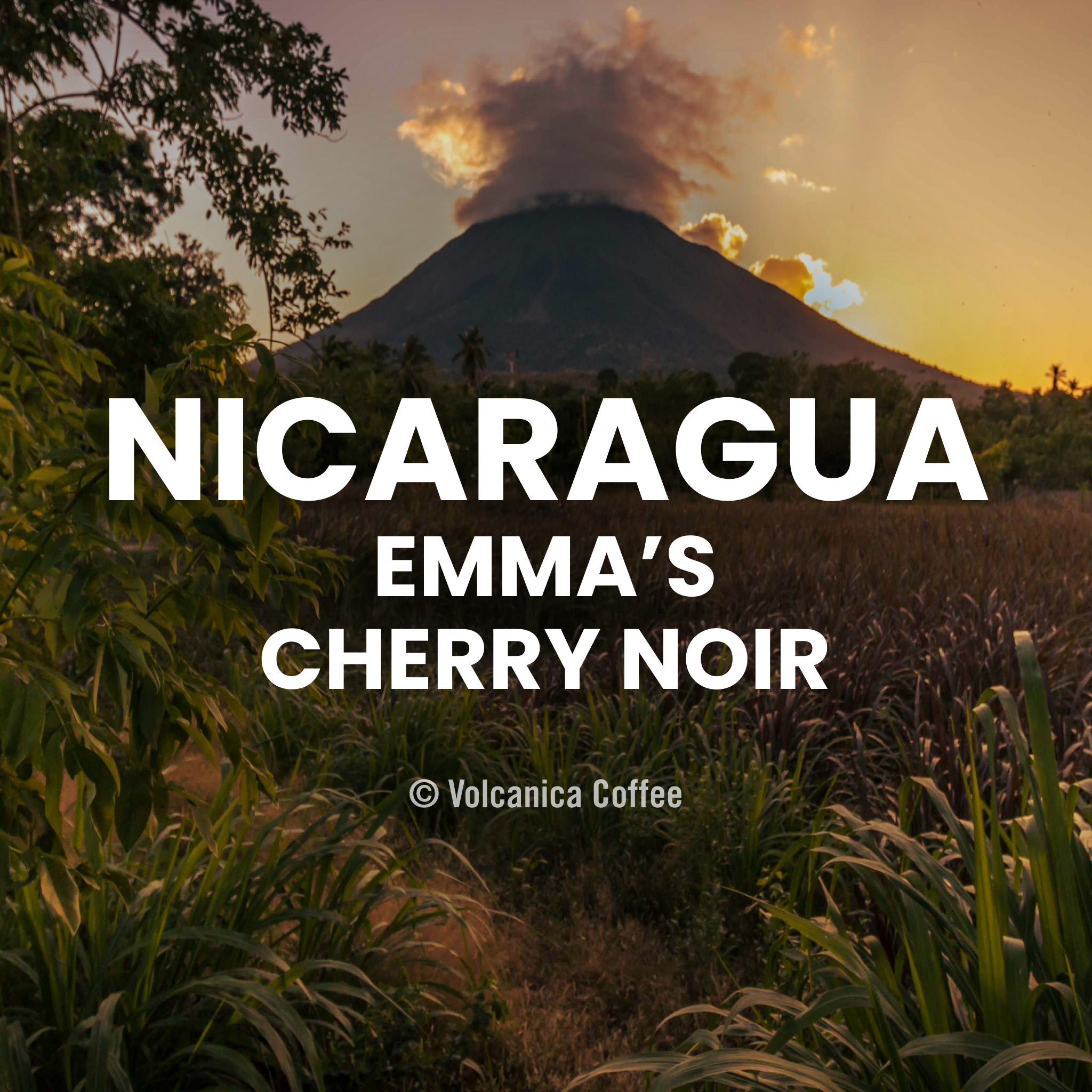 Nicaragua Emma’s Cherry Noir Coffee